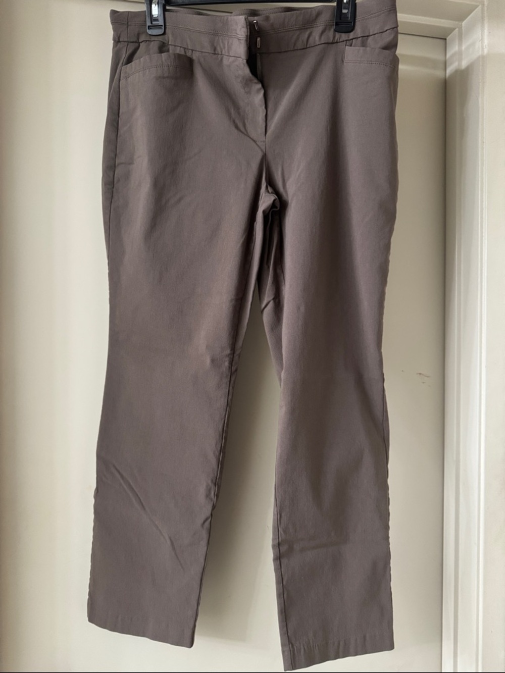 Briggs New York Straight-Leg Pants in Taupe